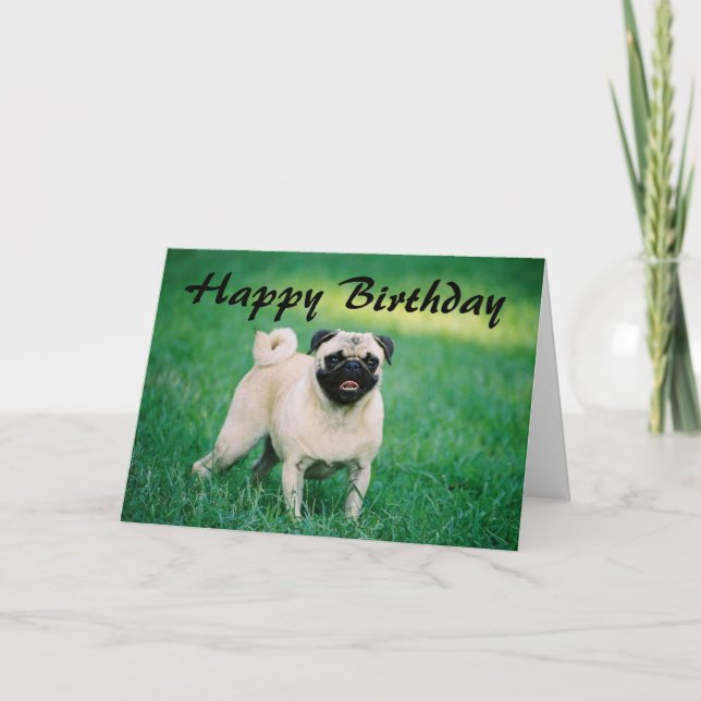 Pug Happy Birthday Card (Front)