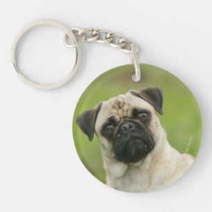 Pug Head Cocked Looking at Camera Keychain