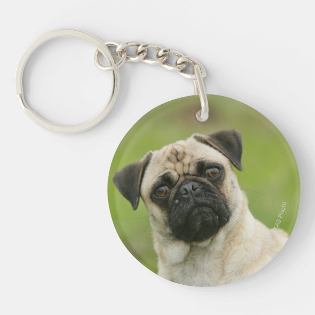 Pug Head Cocked Looking at Camera Keychain (Front)