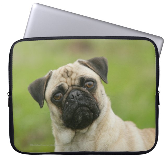 Pug Head Cocked Looking at Camera Laptop Sleeve (Front)