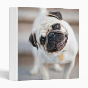 Pug Head Tilt 3 Ring Binder