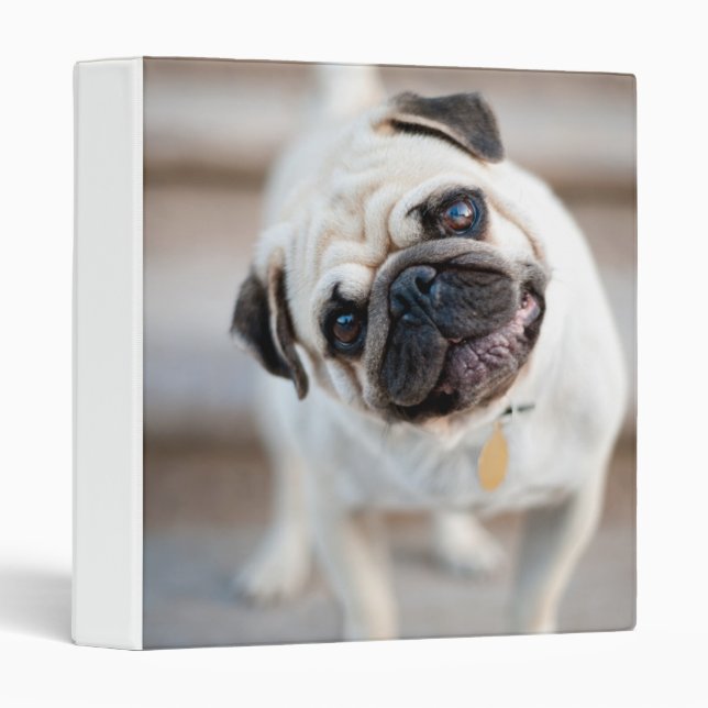 Pug Head Tilt 3 Ring Binder (Front/Spine)