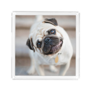 Pug Head Tilt Acrylic Tray