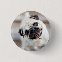 Pug Head Tilt