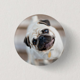 Pug Head Tilt Button