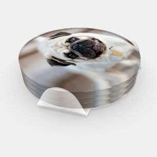 Pug Head Tilt Coaster Set