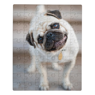 Pug Head Tilt Jigsaw Puzzle