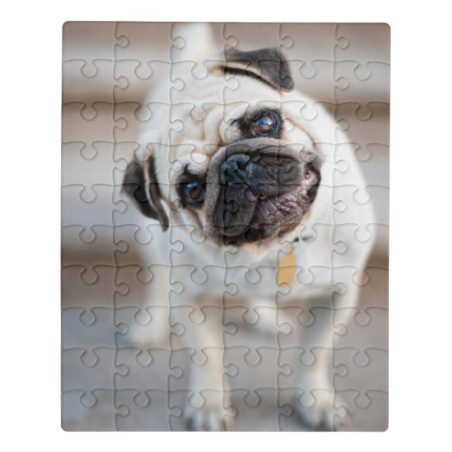 Pug Head Tilt Jigsaw Puzzle (Puzzle Vertical)