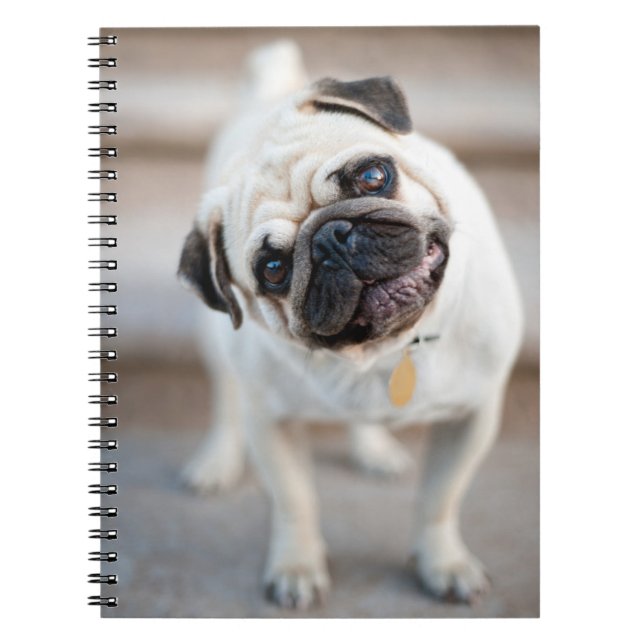 Pug Head Tilt Notebook (Front)