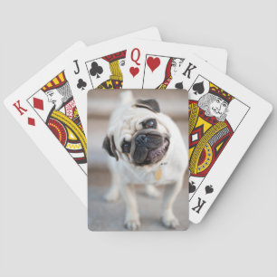 Pug Head Tilt Poker Cards