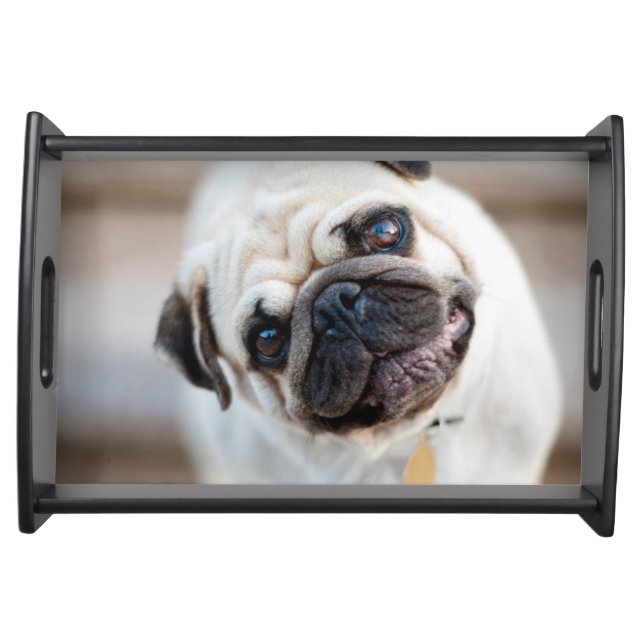 Pug Head Tilt Serving Tray (Front)