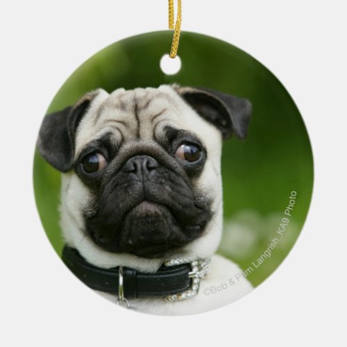 Pug headshot ceramic ornament