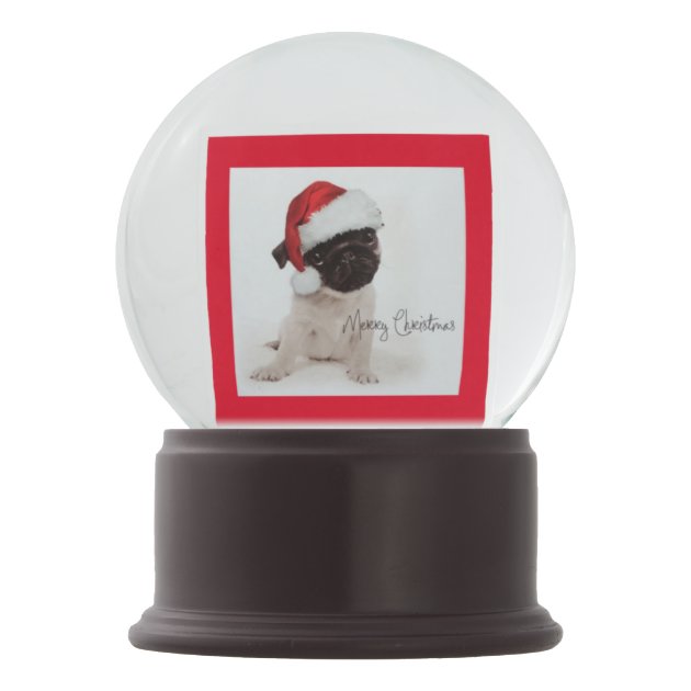 pug snow globe
