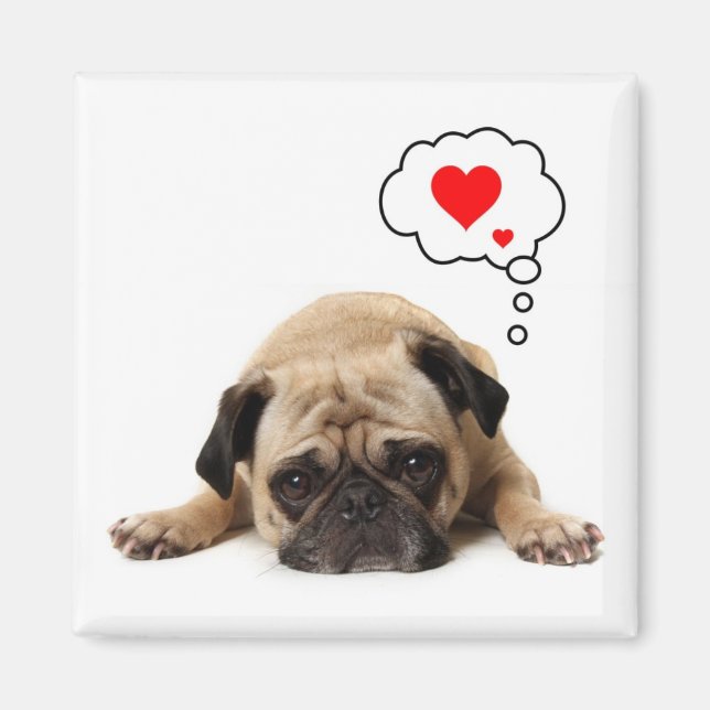 Pug Hearts Magnet (Front)