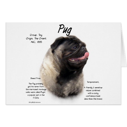 Pug History Design Cards (Front Horizontal)