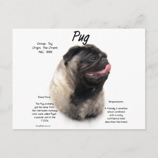 Pug History Design Postcard