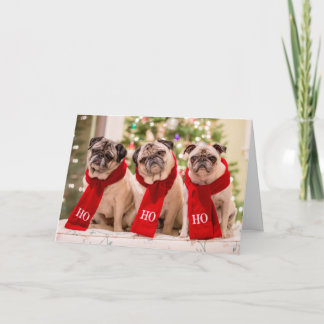 Pug Holiday/Christmas card. Minnie, Max and Matti Holiday Card