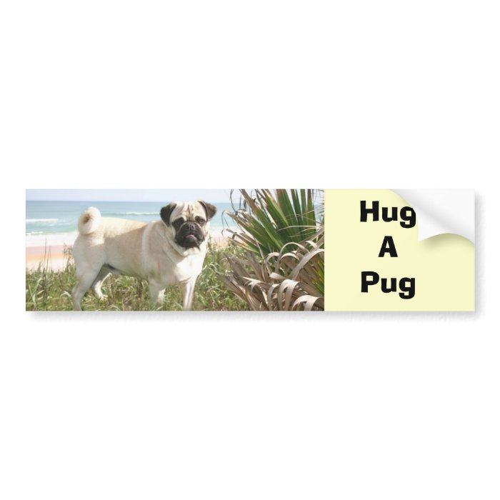Pug Hug Bumper Sticker Beachgrass