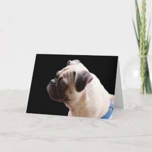 Pug Hugs & Kisses Birthday Card Focus for a Cause