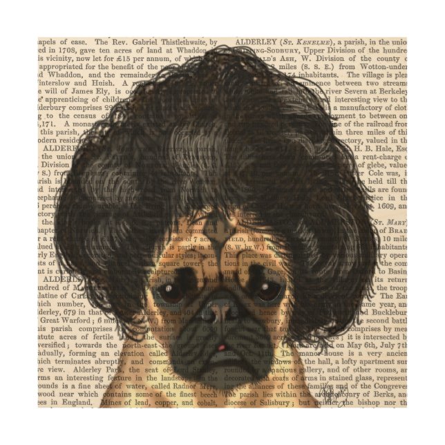 Pug In A Bad Wig Wood Wall Decor (Front)