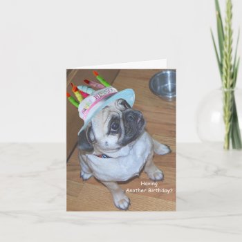 Pug In A Birthday Hat Card by malibuitalian at Zazzle