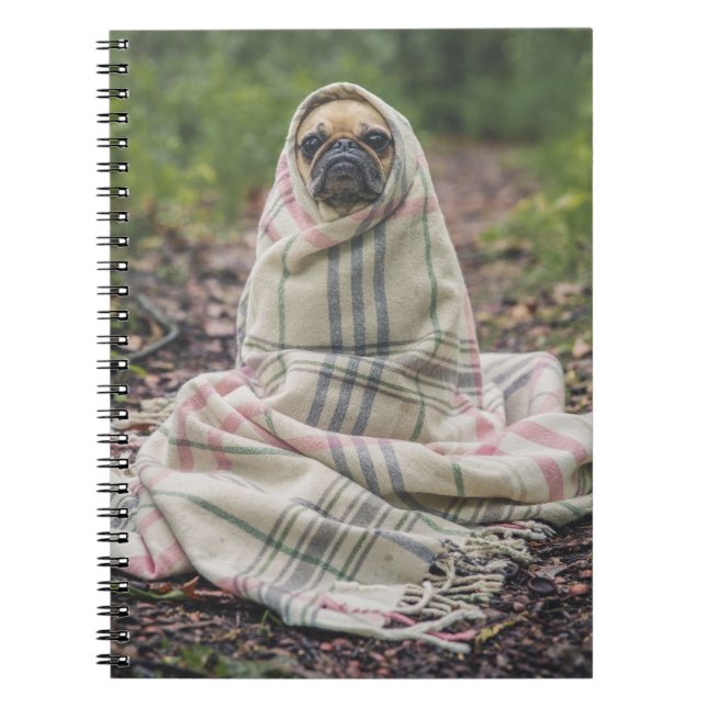 Pug in a Blanket Spiral Notebook (Front)