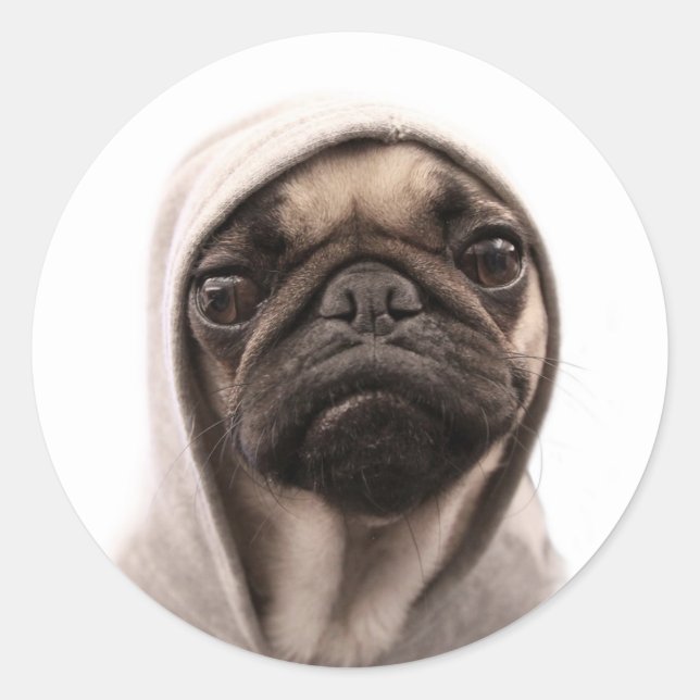 Pug In A Hoodie Classic Round Sticker (Front)