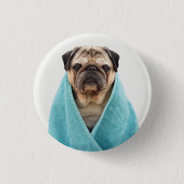 Pug in a Towel Button (Front)