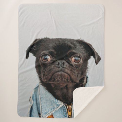 Pug in Denim Jacket Blanket