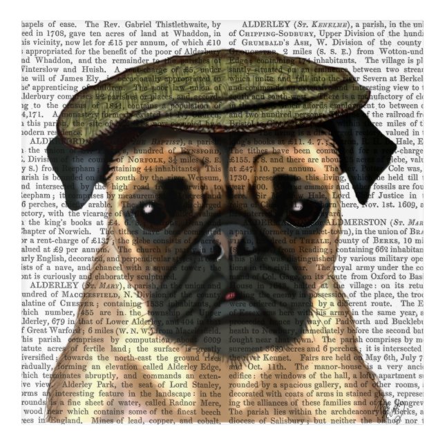 Pug in Flat Cap Acrylic Print (Front)