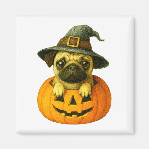 Pug in Pumpkin Magnet