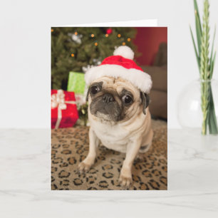 Pug in Santa Claus Hat sitting on carpet Holiday Card