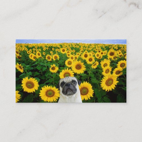 Pug in Sunflowers business cards