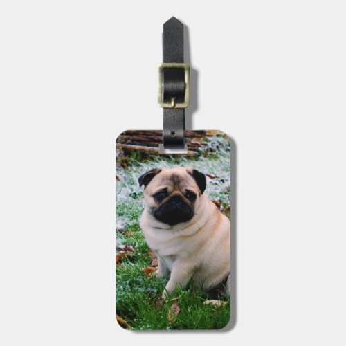 Pug Insert Your Own Photo Luggage Tag