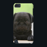 Pug ipod Touch Case<br><div class="desc">Case-Mate Barely There 5th Generation iPod Touch Case</div>