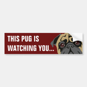 Pug Is Watching Bumper Sticker