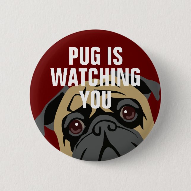 Pug Is Watching Pinback Button (Front)