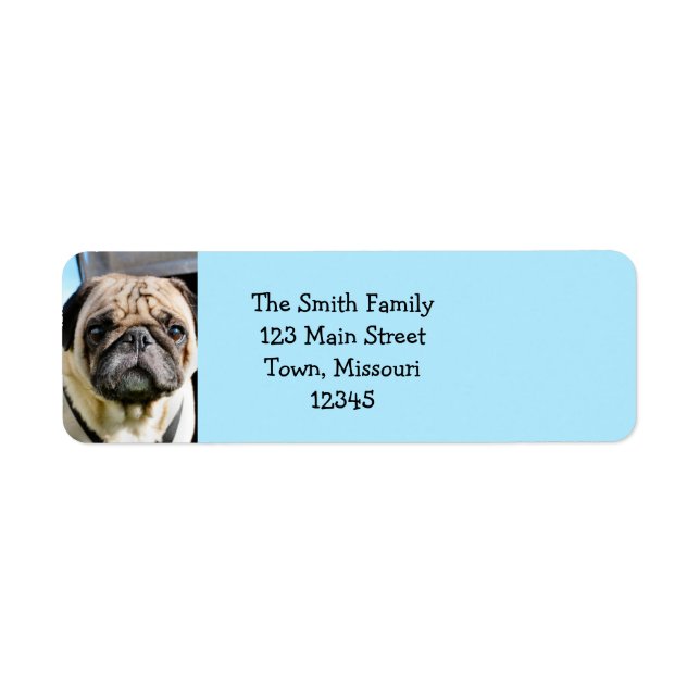 Pug Label (Front)