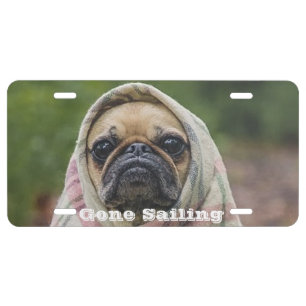 Pug License Plate