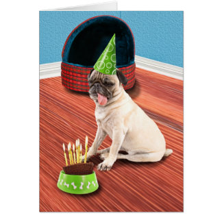 Pug Lick