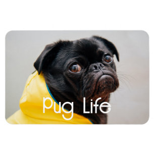"Pug Life" Fully Editable Photo Magnet
