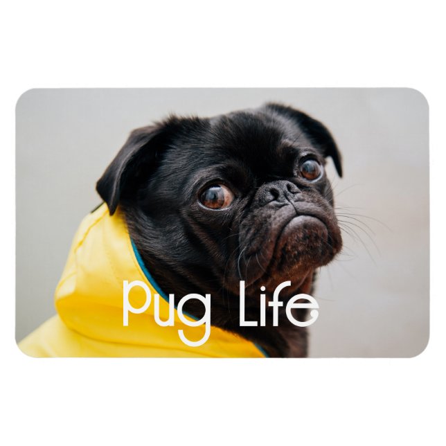 "Pug Life" Fully Editable Photo Magnet (Horizontal)