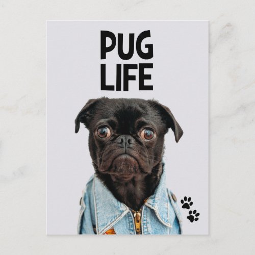 Pug Life Postcard