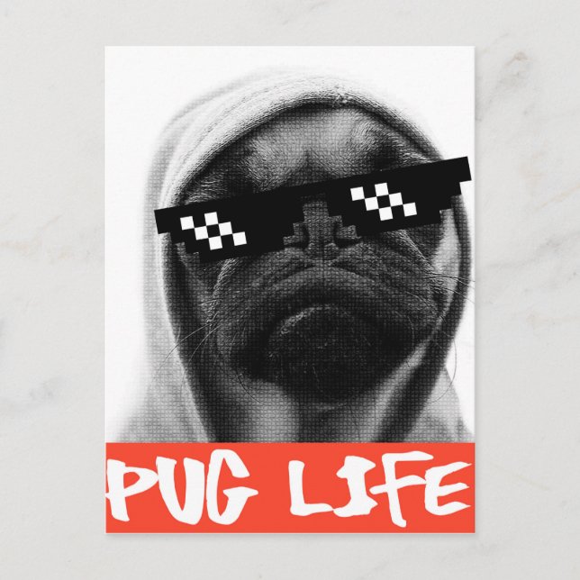 Pug Life Postcard (Front)