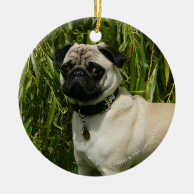 Pug Lookign at Camera Ceramic Ornament (Front)