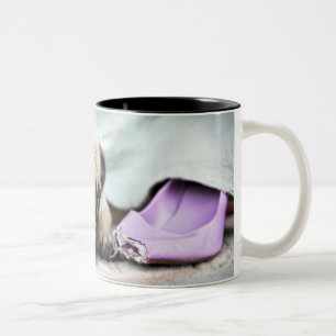 Pug looking innocent after chewing the toe off Two-Tone coffee mug