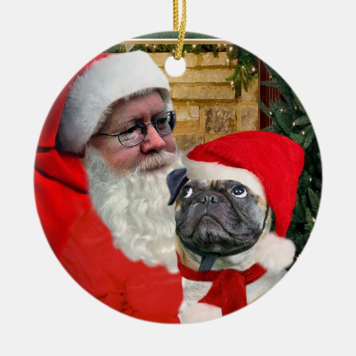 PUG LOOKS UP AT SANTA ORNAMENT