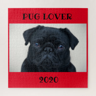 Pug Lover Puzzle 600 +