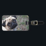 PUG LUGGAGE TAG<br><div class="desc">Cute Fawn Pug</div>