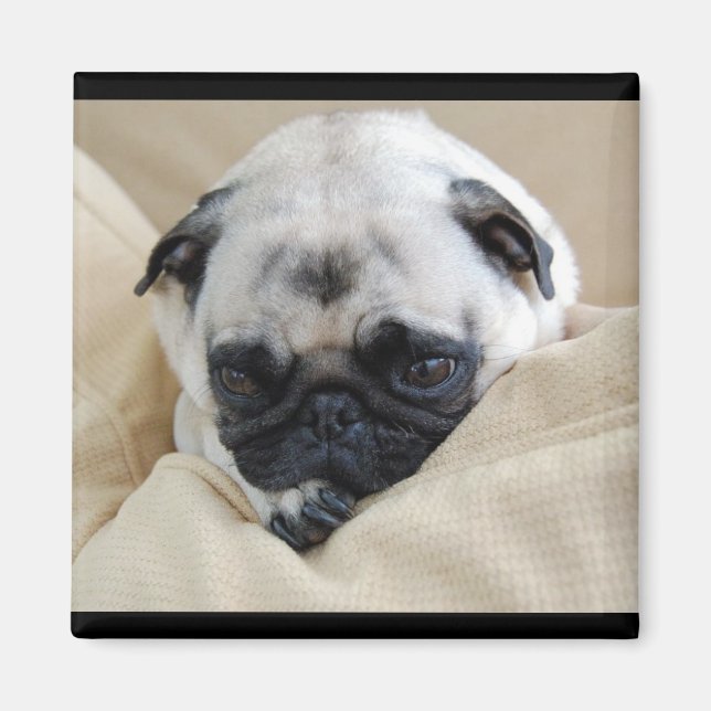 Pug Magnet (Front)